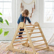 Little Partners Learn 'N Climb Triangle (Knock-Down) - Bambi Baby