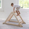 Little Partners Learn 'N Climb Triangle (Knock-Down) - Bambi Baby