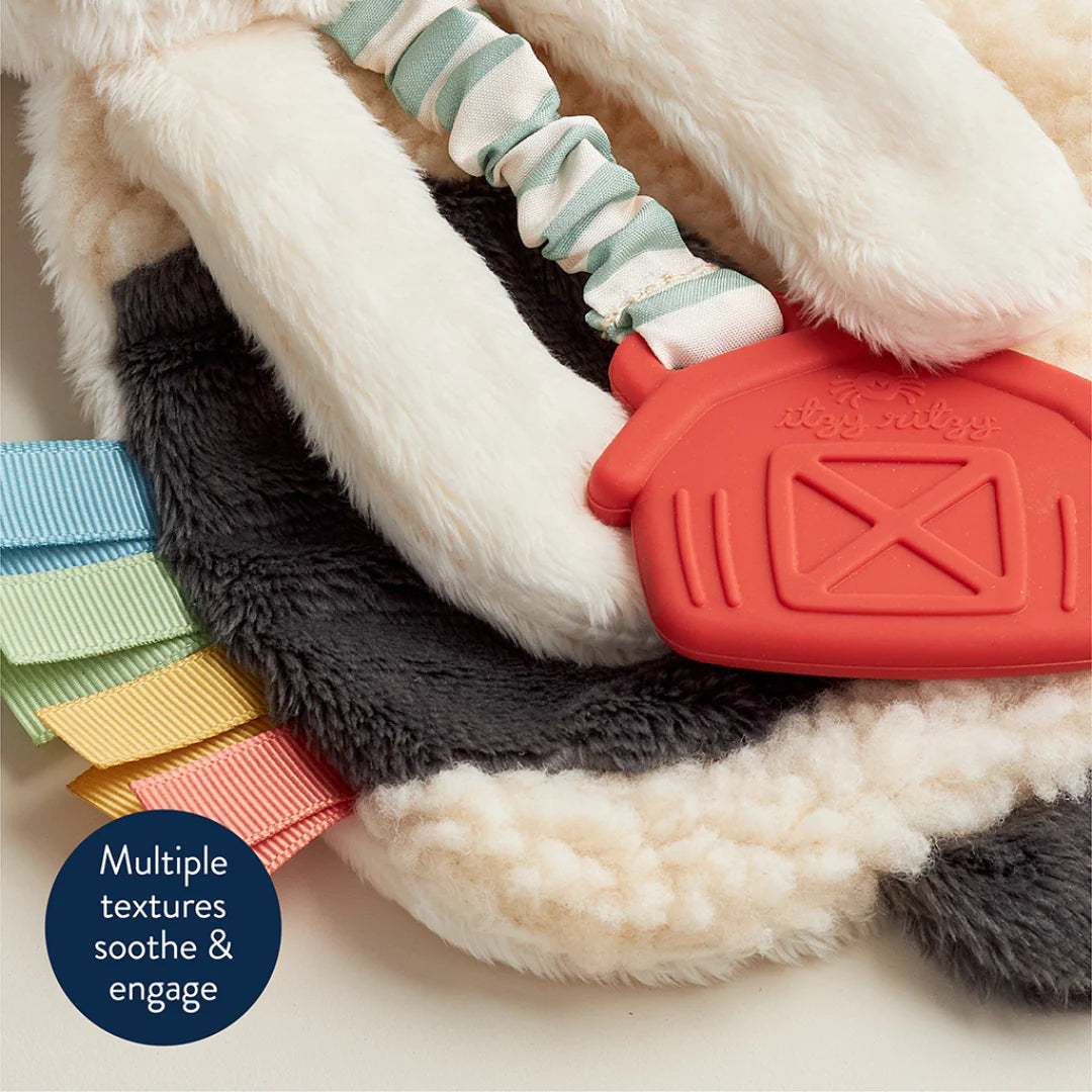 Itzy Ritzy Lovey Plush And Teether Toy