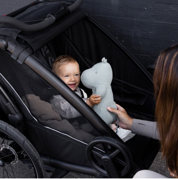 Thule Chariot Sport 2 Double- Strolleria