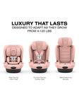 Cybex Callisto T 360 Rotating All-in-One Convertible Car Seat - Bambi Baby