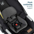 Maxi Cosi Zelia2 Luxe Travel System - Bambi Baby