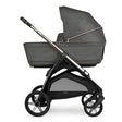 Inglesina Aptica Stroller & Bassinet + Stand - Bambi Baby