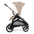 Inglesina Aptica Stroller & Bassinet + Stand - Bambi Baby