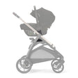 Inglesina Aptica/XT Car Seat Adapter - Bambi Baby