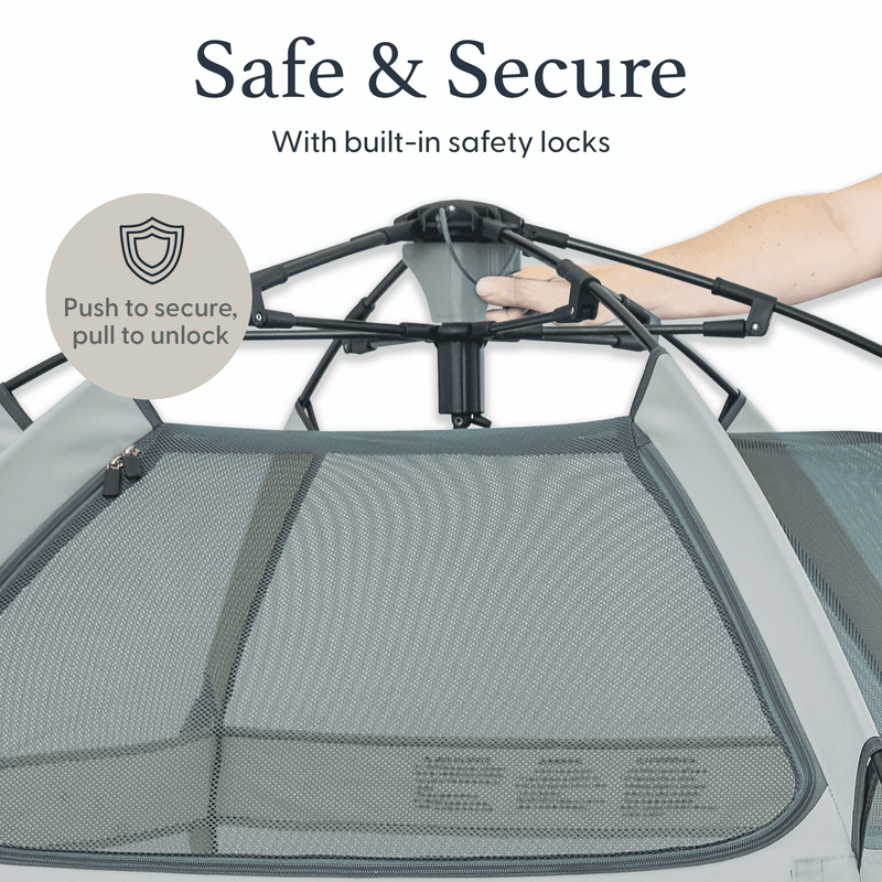 The California Beach Co. Pop &