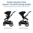 Maxi Cosi Fame™ Modular Stroller - Bambi Baby
