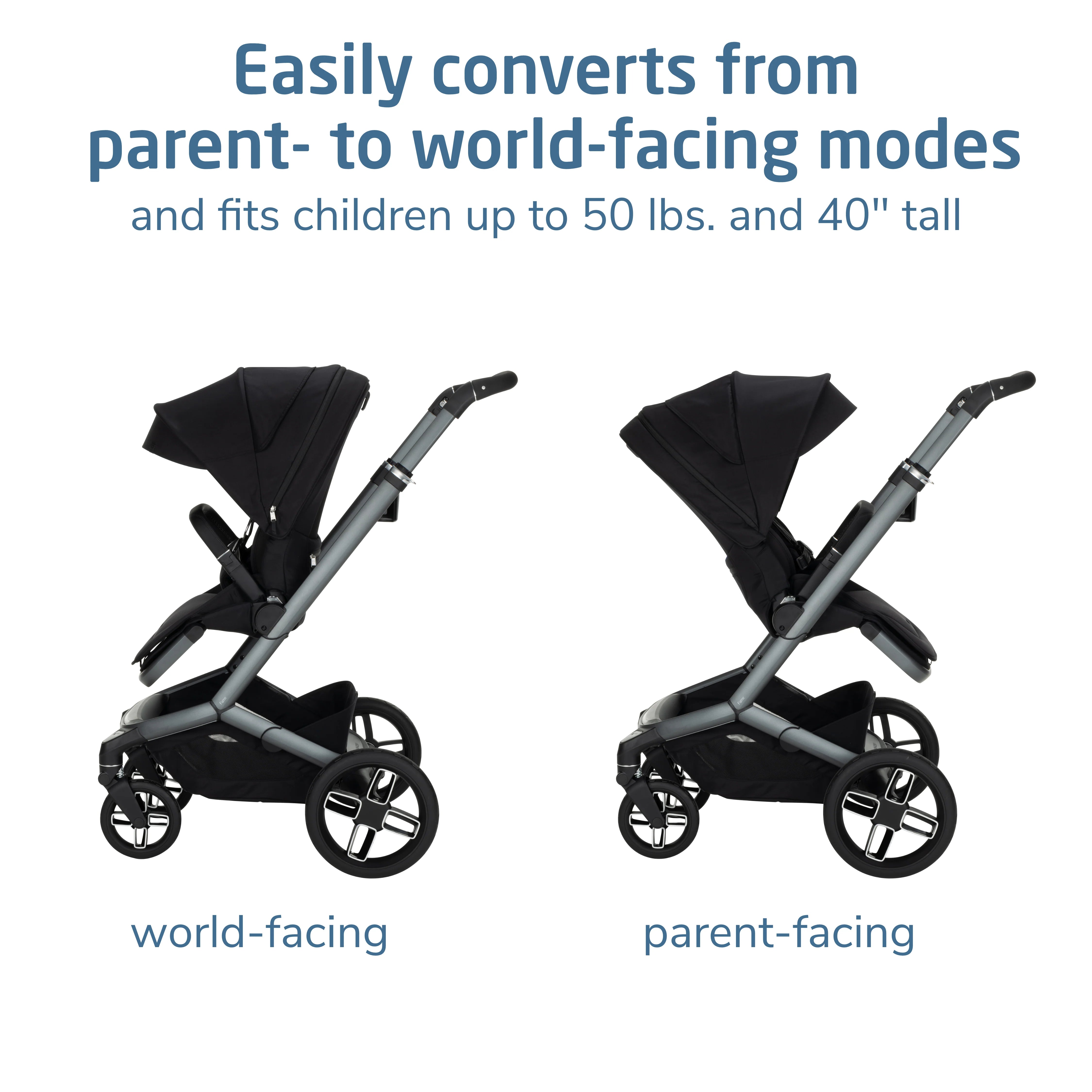 Maxi Cosi Fame™ Modular Stroller- Strolleria