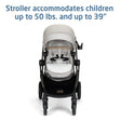 Maxi Cosi Zelia™ Pro 5-in-1 Modular Travel System - Bambi Baby