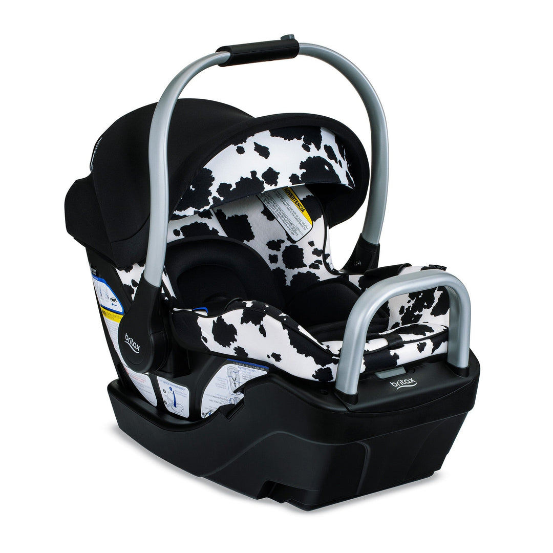 Britax Willow SC Infant Car Seat and Alpine Base