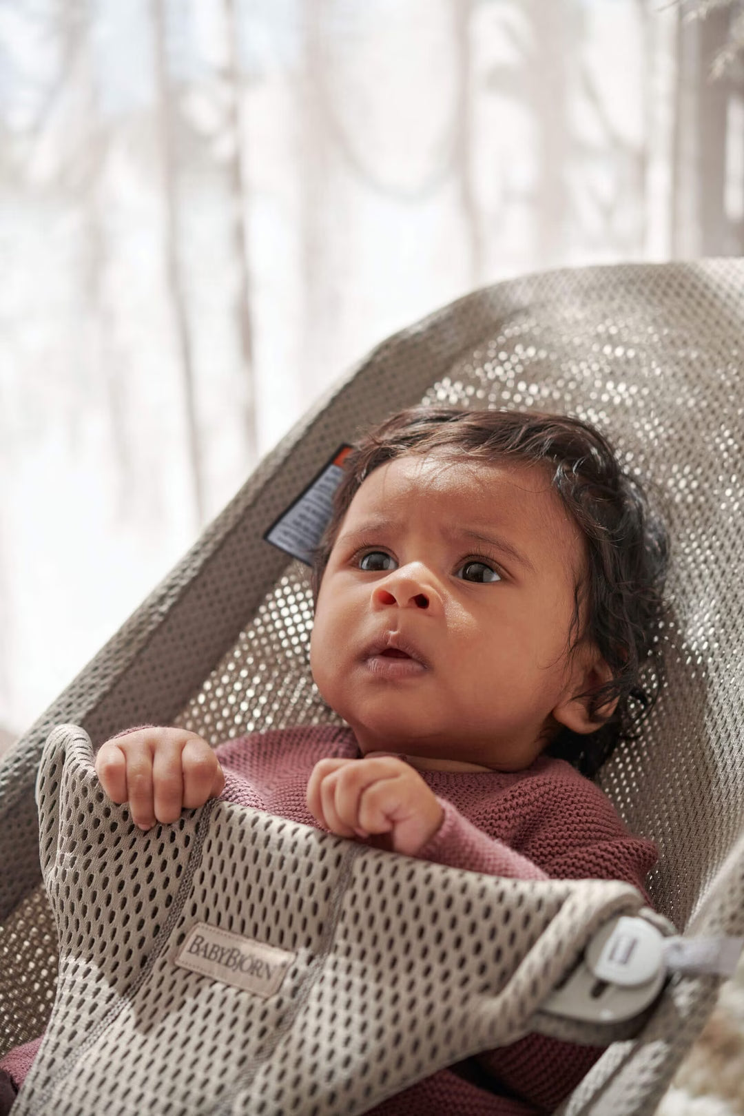 BabyBjörn Bouncer Bliss- Strolleria