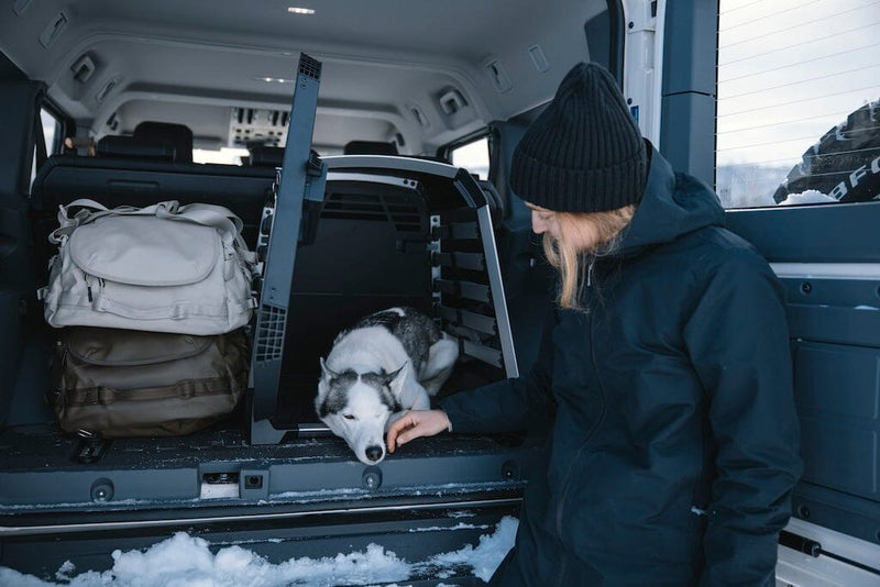 Thule Allax Car Dog Crate