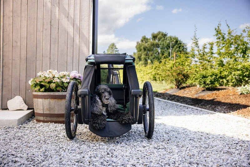 Thule Bexey Dog Bike Trailer