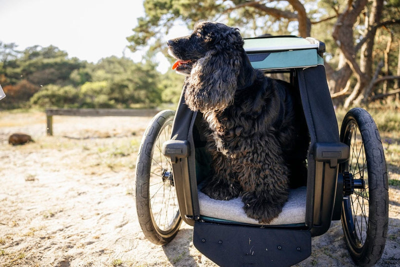 Thule Bexey Dog Bed