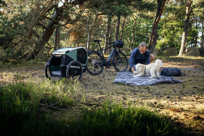 Thule Bexey Dog Bed