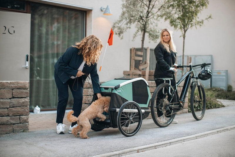 Thule Bexey Dog Bike Trailer