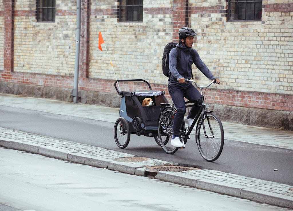 Thule Courier Dog Trailer Kit- Strolleria