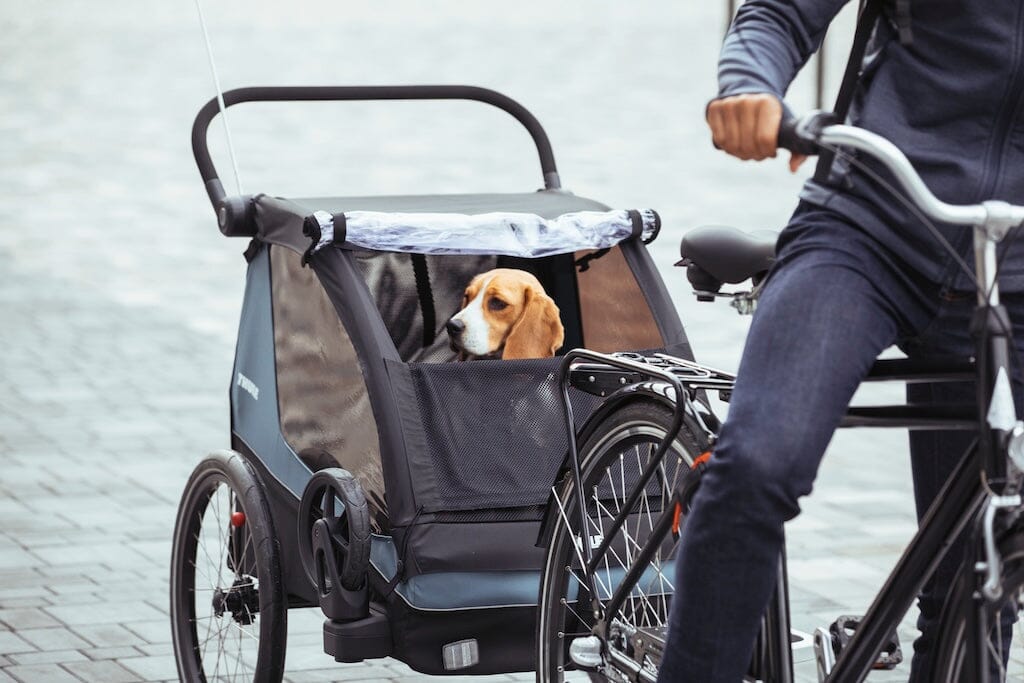 Thule Courier Dog Trailer Kit- Strolleria