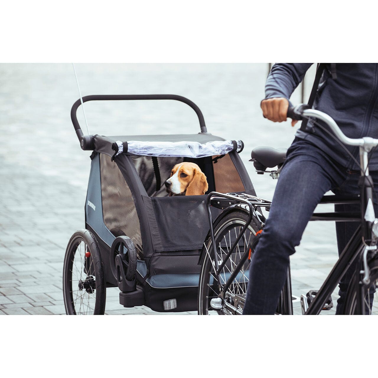 Thule Courier 2-Seat Bike Trailer- Strolleria