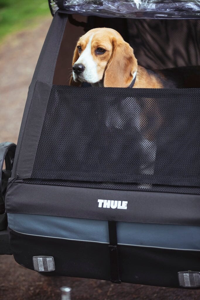 Thule Courier Dog Trailer Kit- Strolleria