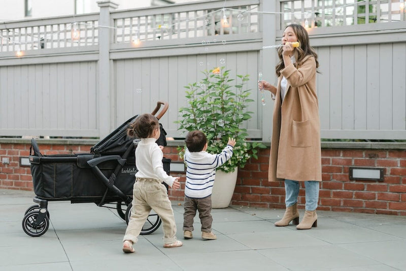 Larktale Sprout V2 Expandable Stroller / Wagon