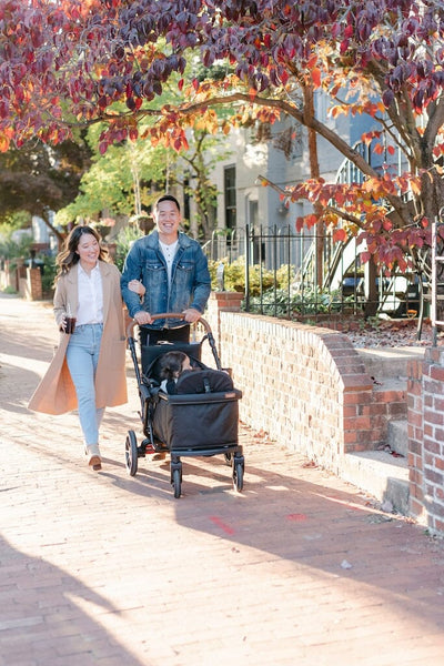 Larktale Sprout V2 Expandable Stroller / Wagon