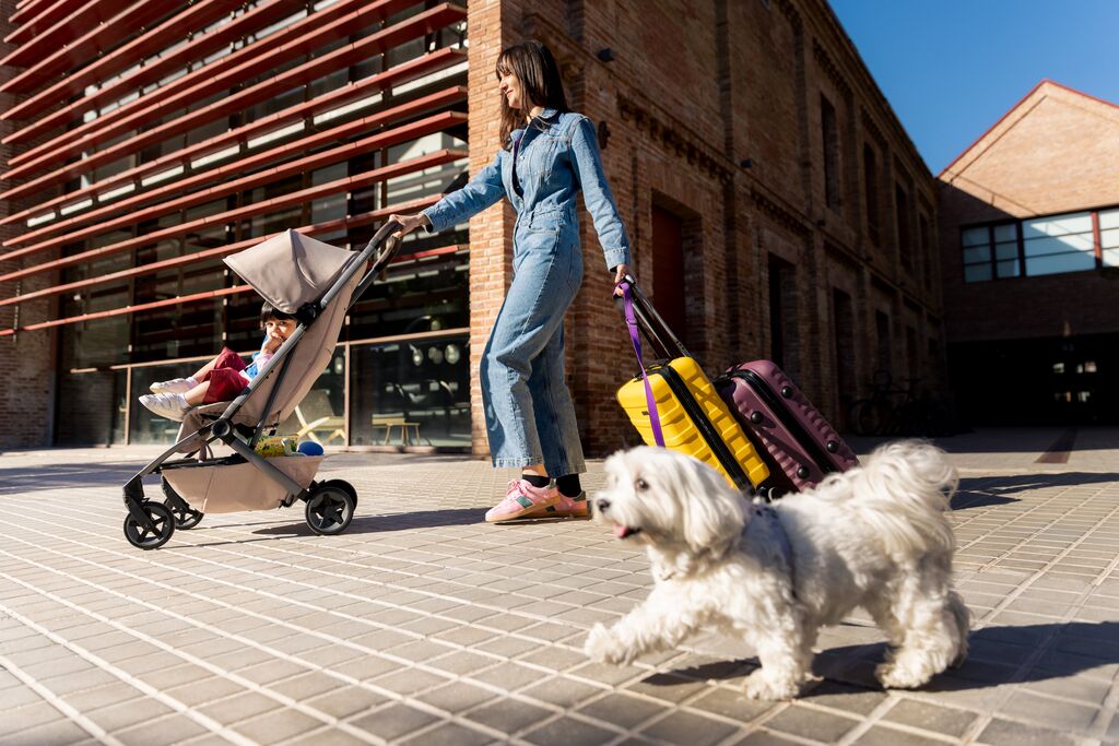 Joolz Aer2 Buggy Single Stroller- Strolleria