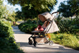 Joolz Aer2 Buggy Single Stroller - Bambi Baby