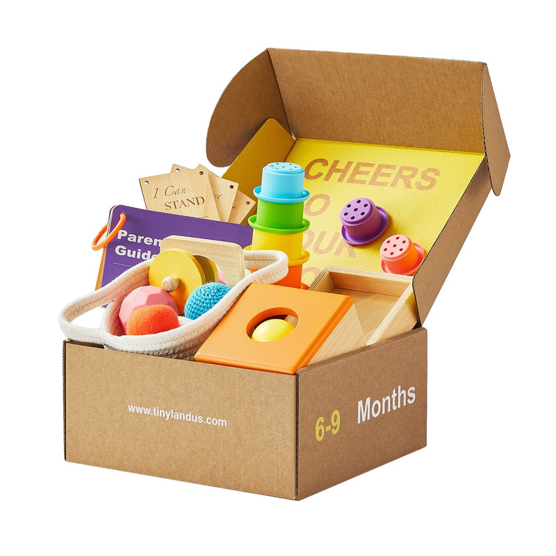 Tiny Land® Montessori Toys Set (6-9 month)