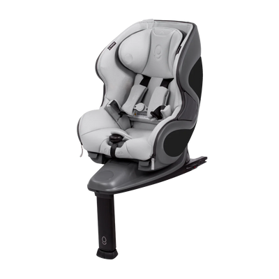 Babyark Convertible Car Seat - Classic