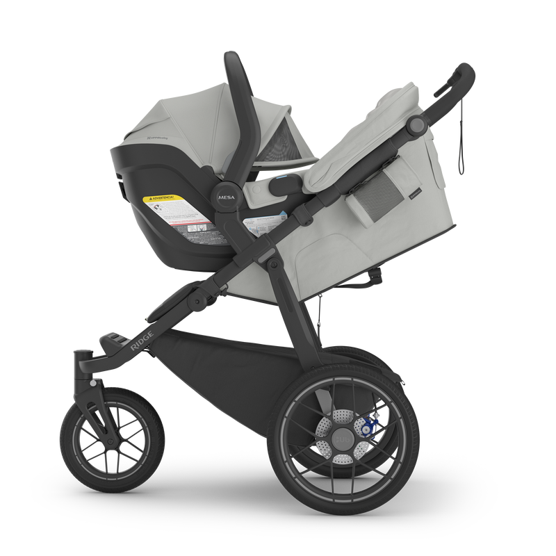 UPPAbaby Ridge V2 Stroller- Strolleria