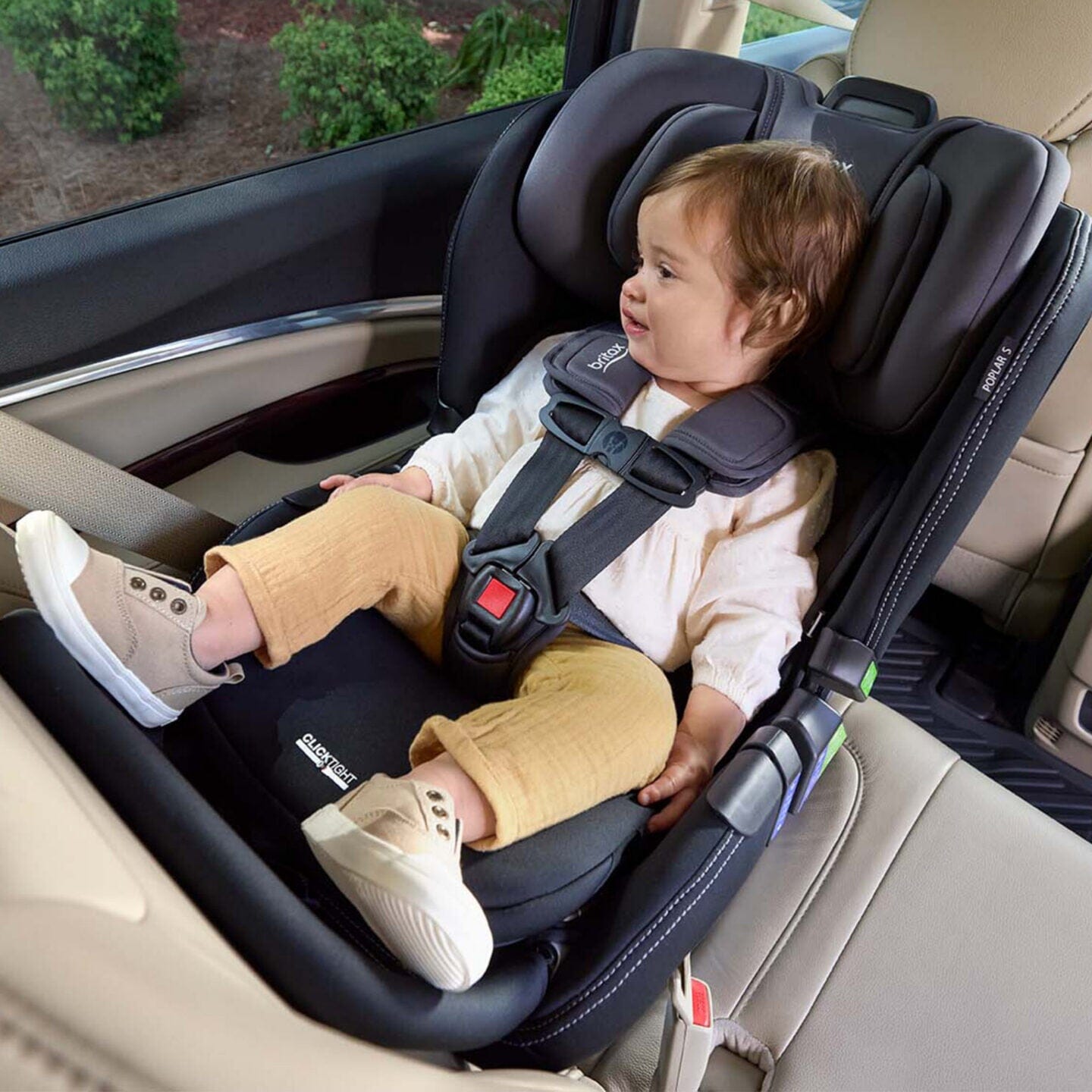 Britax Anti-Rebound Bar for Poplar Poplar S Car Seats- Strolleria