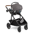 Joie Chive Stroller - Bambi Baby