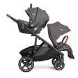 Joie Chive Stroller - Bambi Baby