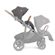 Joie Chive Stroller - Bambi Baby