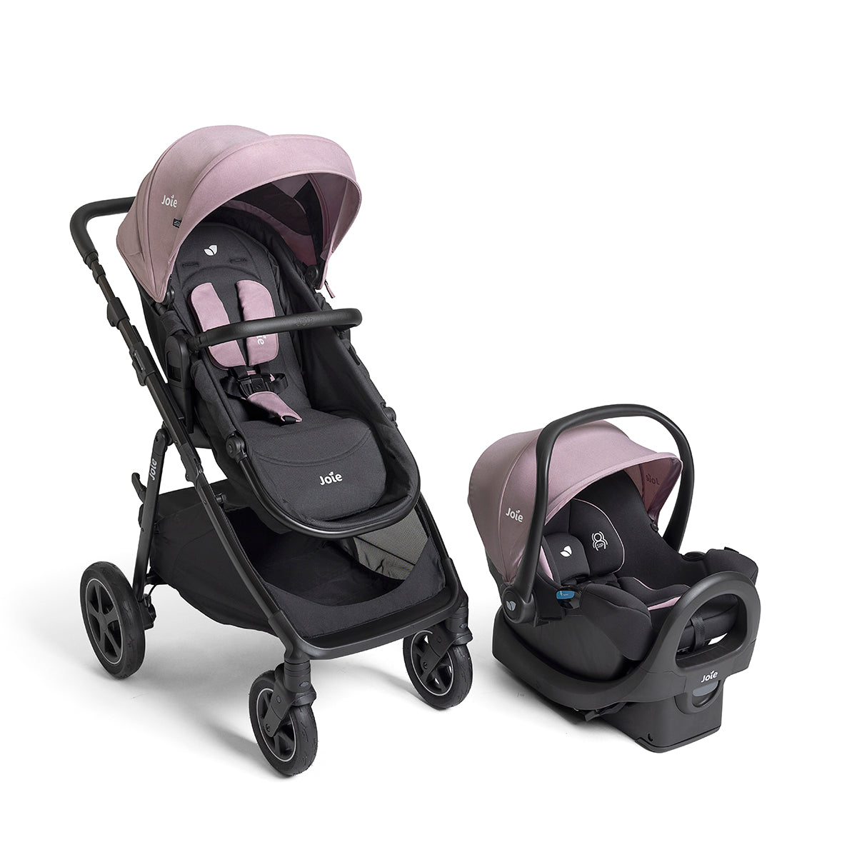 Joie Baby Ginger™ DLX Pramette Stroller- Strolleria
