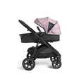 Joie Baby Ginger™ DLX Pramette Stroller - Bambi Baby