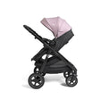 Joie Baby Ginger™ DLX Pramette Stroller - Bambi Baby