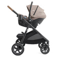 Joie Baby Ginger™ DLX Pramette Stroller - Bambi Baby