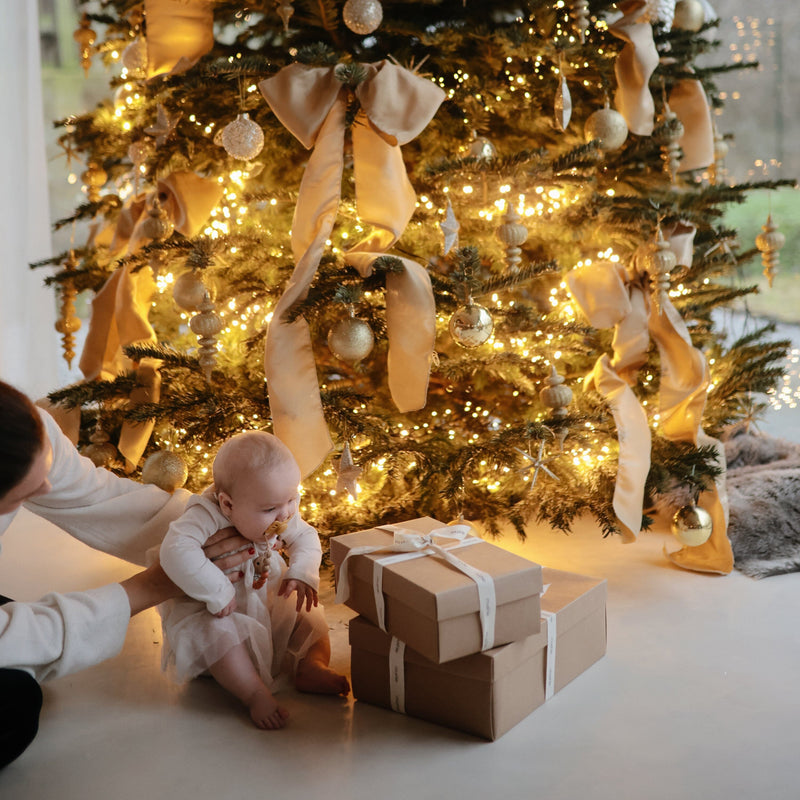 Mushie Mealtime Gift Set 3 | $49 Value