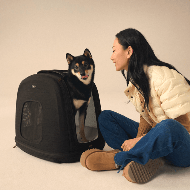 Tavo Pets Crispin Pet Travel Crate