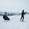 Thule Chariot XC Ski Kit 2.0 - Bambi Baby