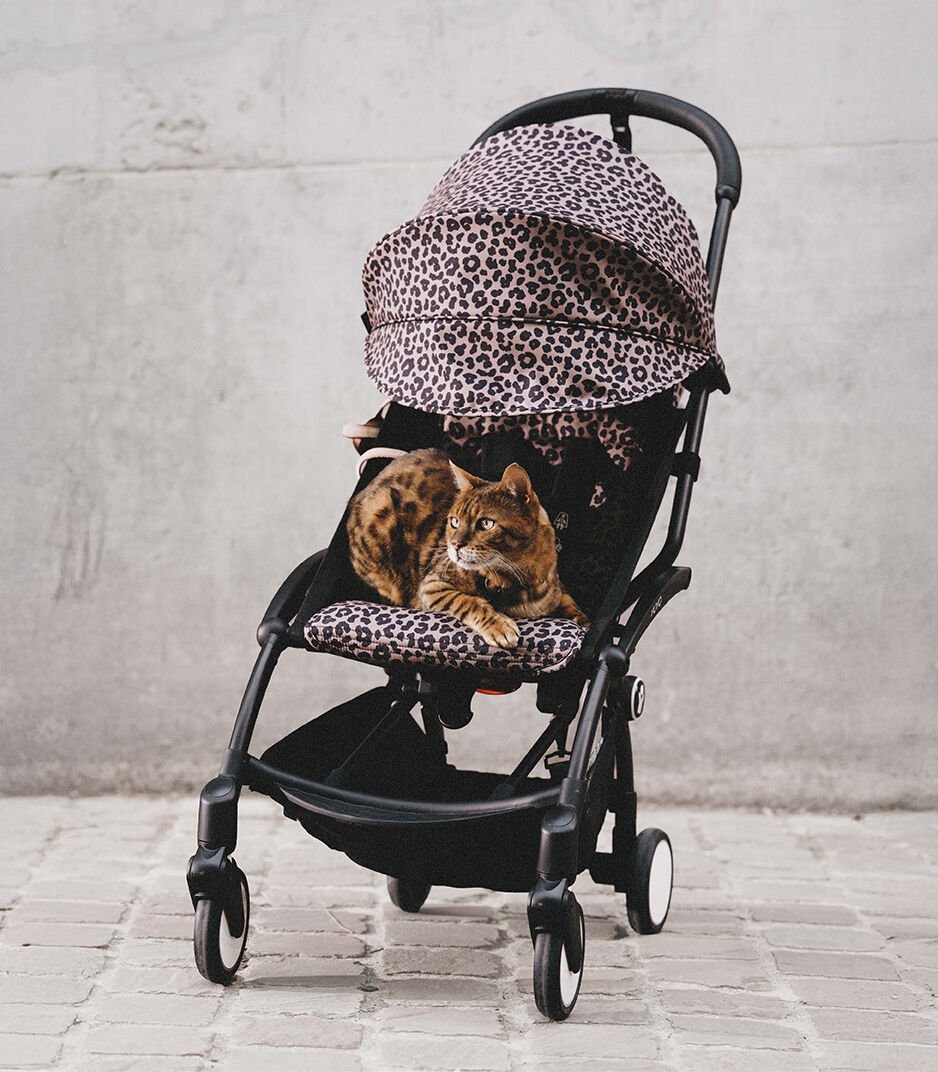 Stokke® YOYO 6+ Color Pack