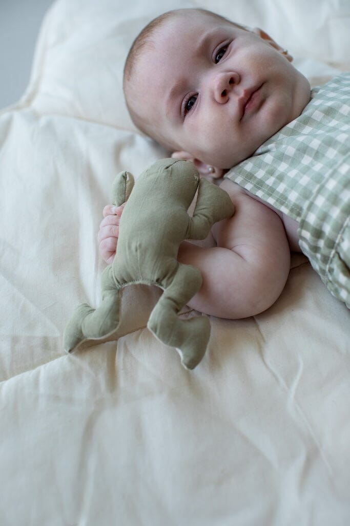 Lorena Canals Lily Pond Rattle Toy- Strolleria