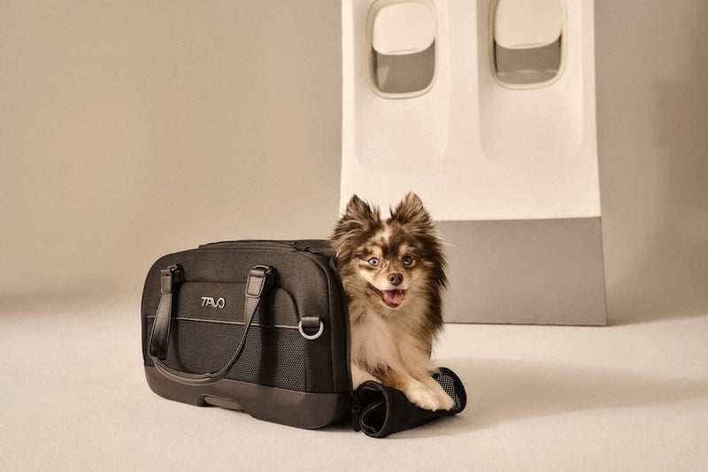 Tavo Pets Dupree II Airline Carry-on Pet Car Seat Onyx