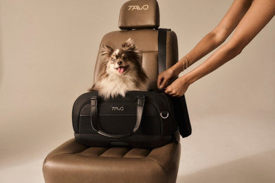 Tavo Pets Dupree II Airline Carry-on Pet Car Seat Onyx