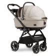TAVO Pets Maeve + Roscoe 3-in-1 Pet Protection System - MEDIUM Rigid - Bambi Baby