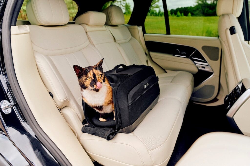 TAVO Pets Dupree I Airline Carry-on Pet Car Seat- Strolleria