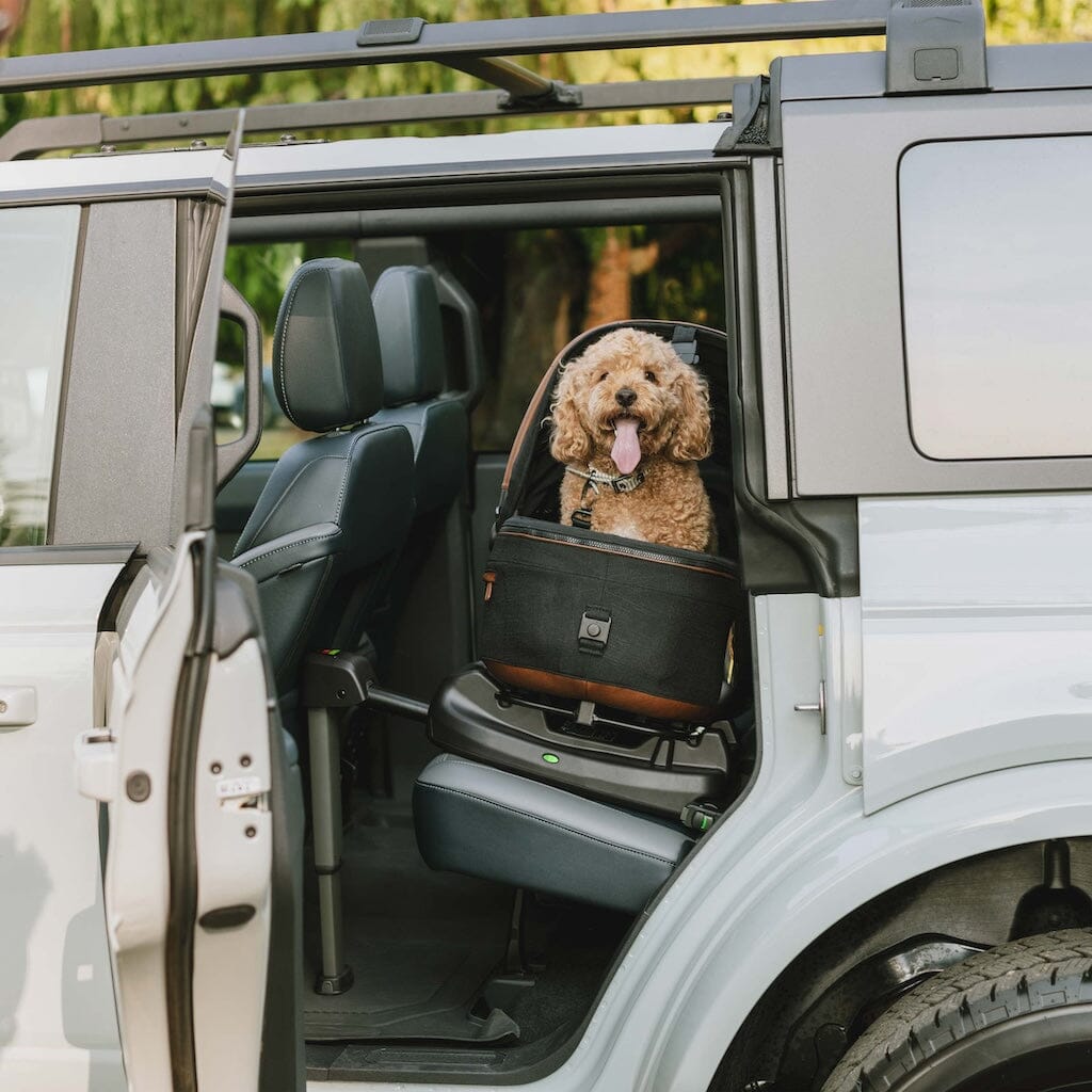 TAVO Pets Vehicle Base for Maeve Pet Car Seat- Strolleria