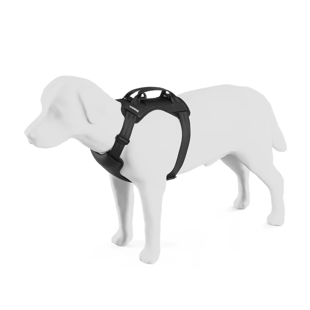 Thule Cappy- Strolleria